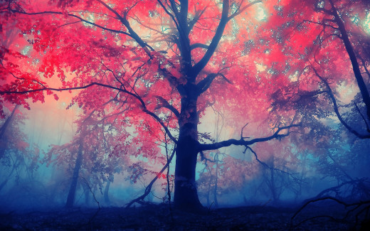 704022 (a): :2560x1600